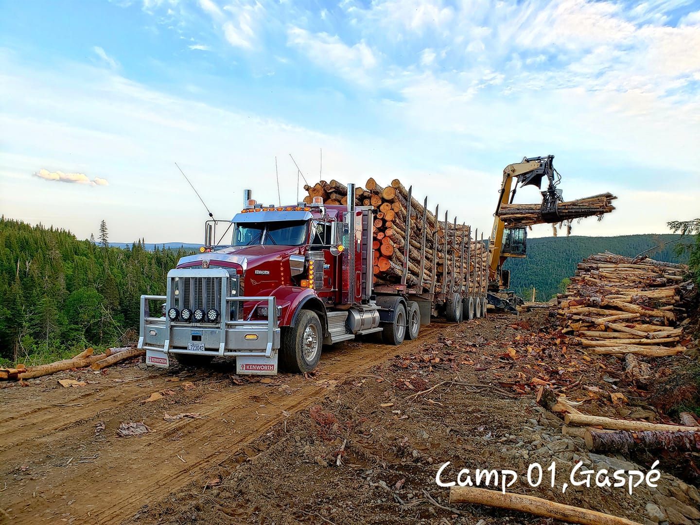 Un semi-camion rouge roule sur un chemin de terre à côté d'un tas de bûches.