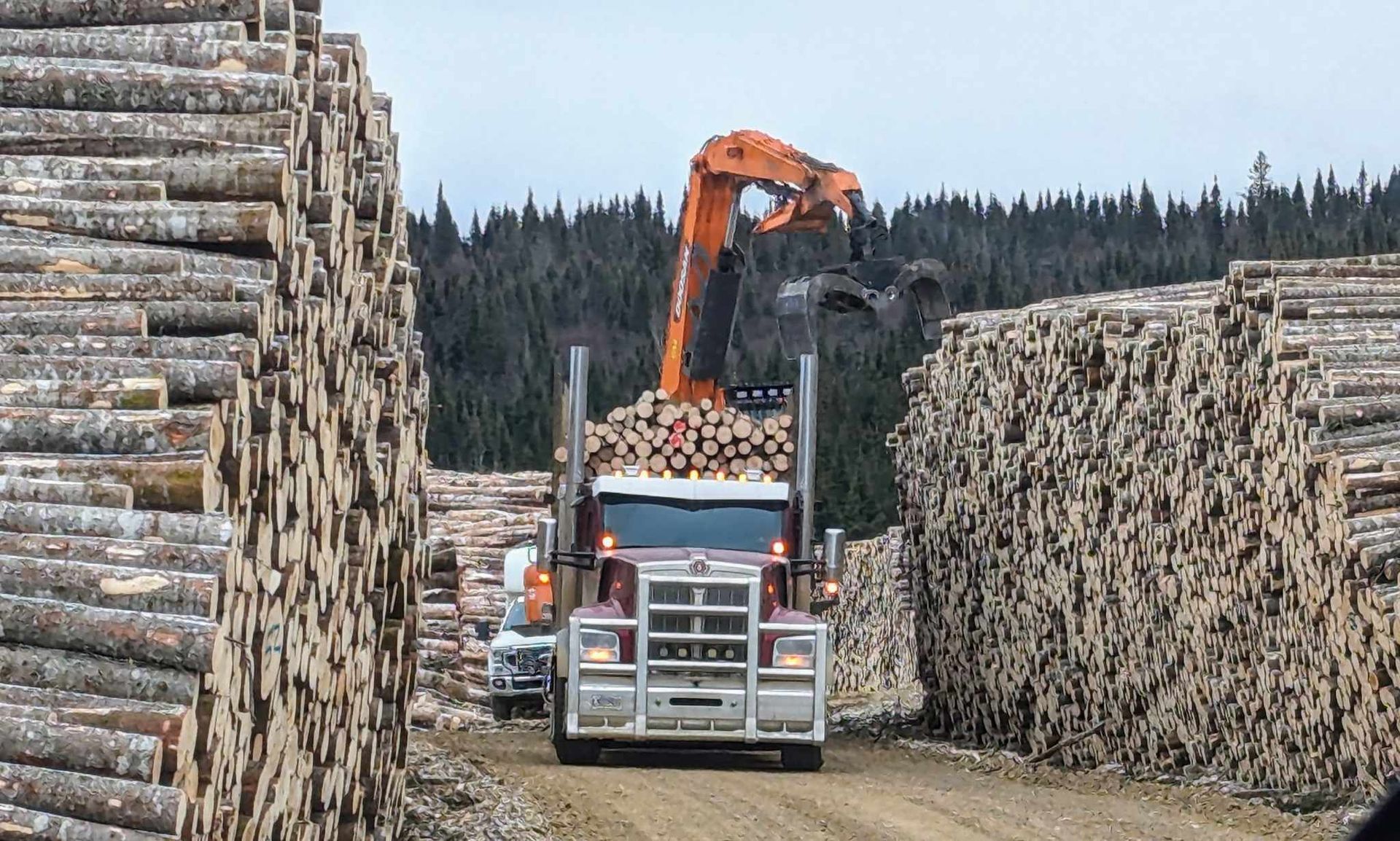 Un camion roule sur un chemin de terre à côté d'un tas de bûches.