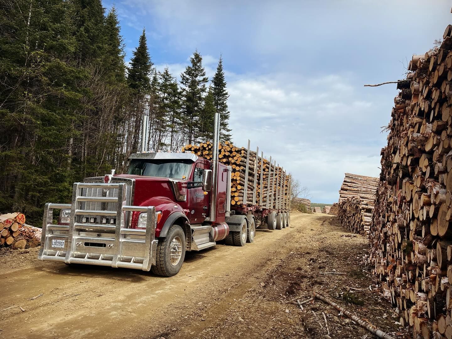 Un semi-camion rouge roule sur un chemin de terre à côté d'un tas de bûches.