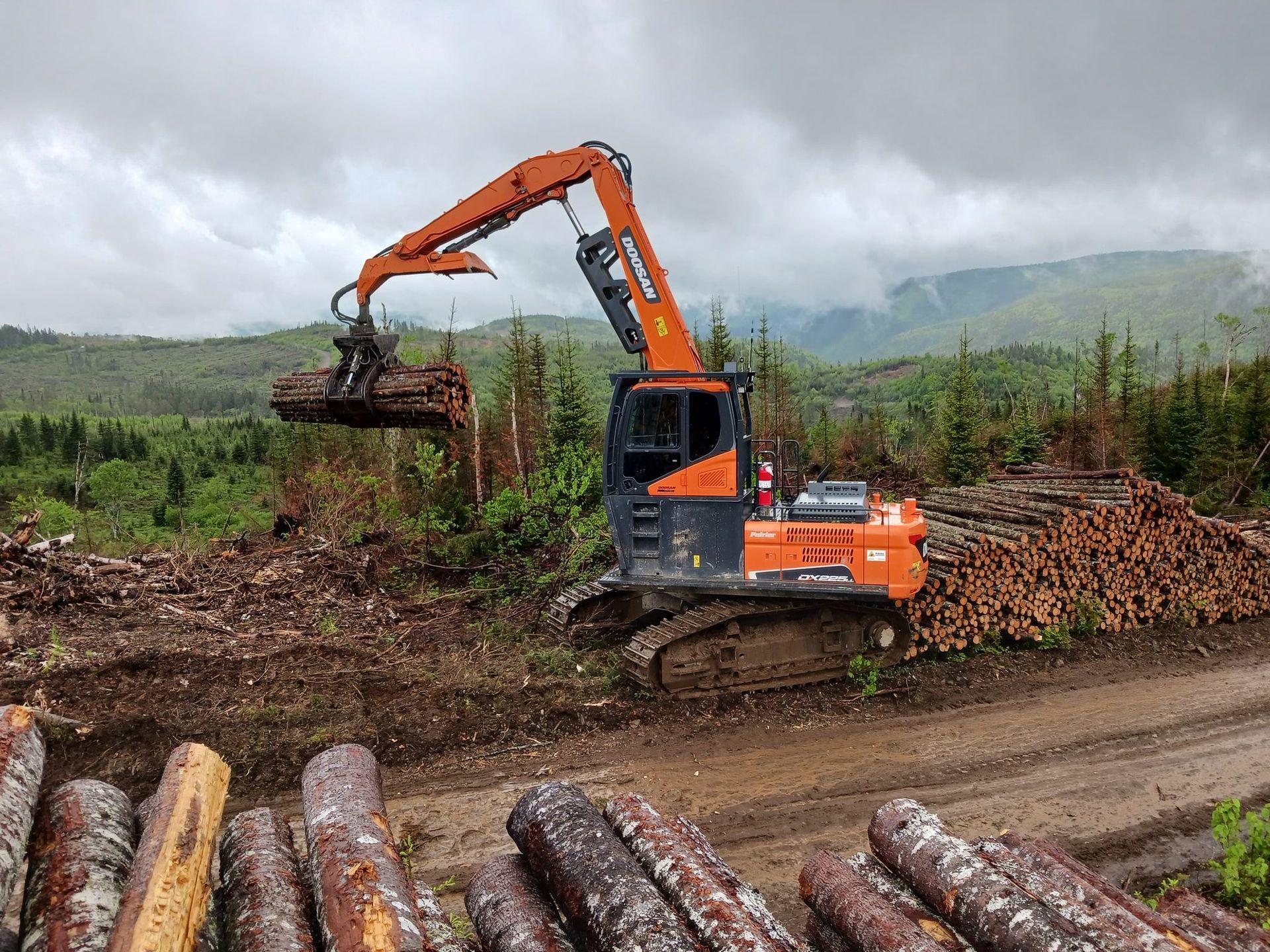 Une grande excavatrice travaille dans une forêt à côté d'un tas de bûches.