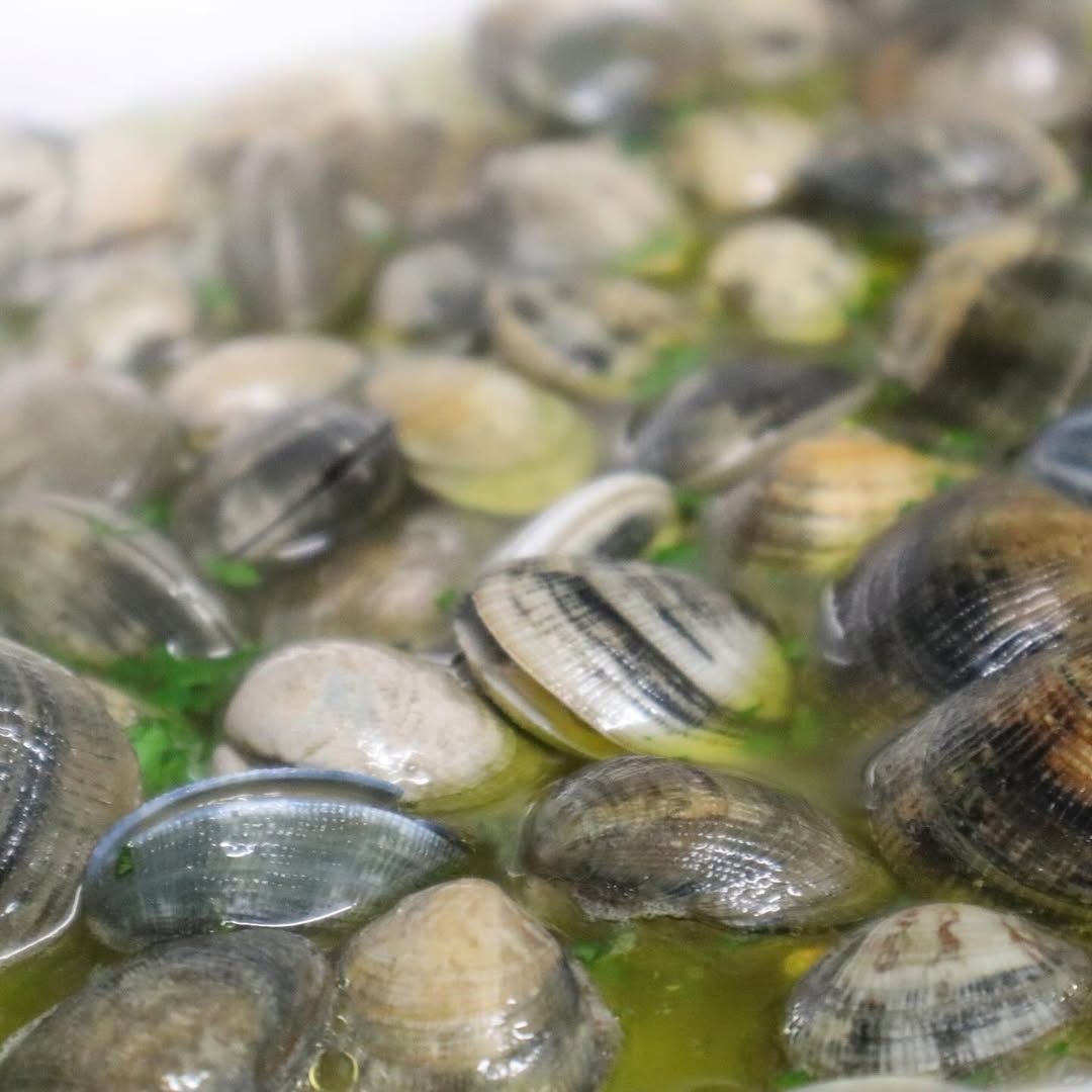 Piatto di vongole nel nostro ristorante a Otricoli: La Terrazza Bistrot