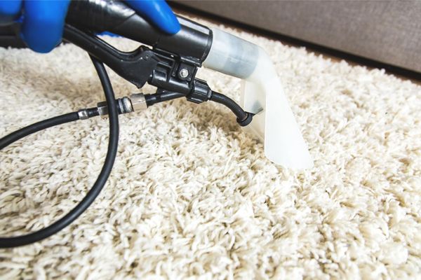 a person is cleaning a carpet with a vacuum cleaner .
