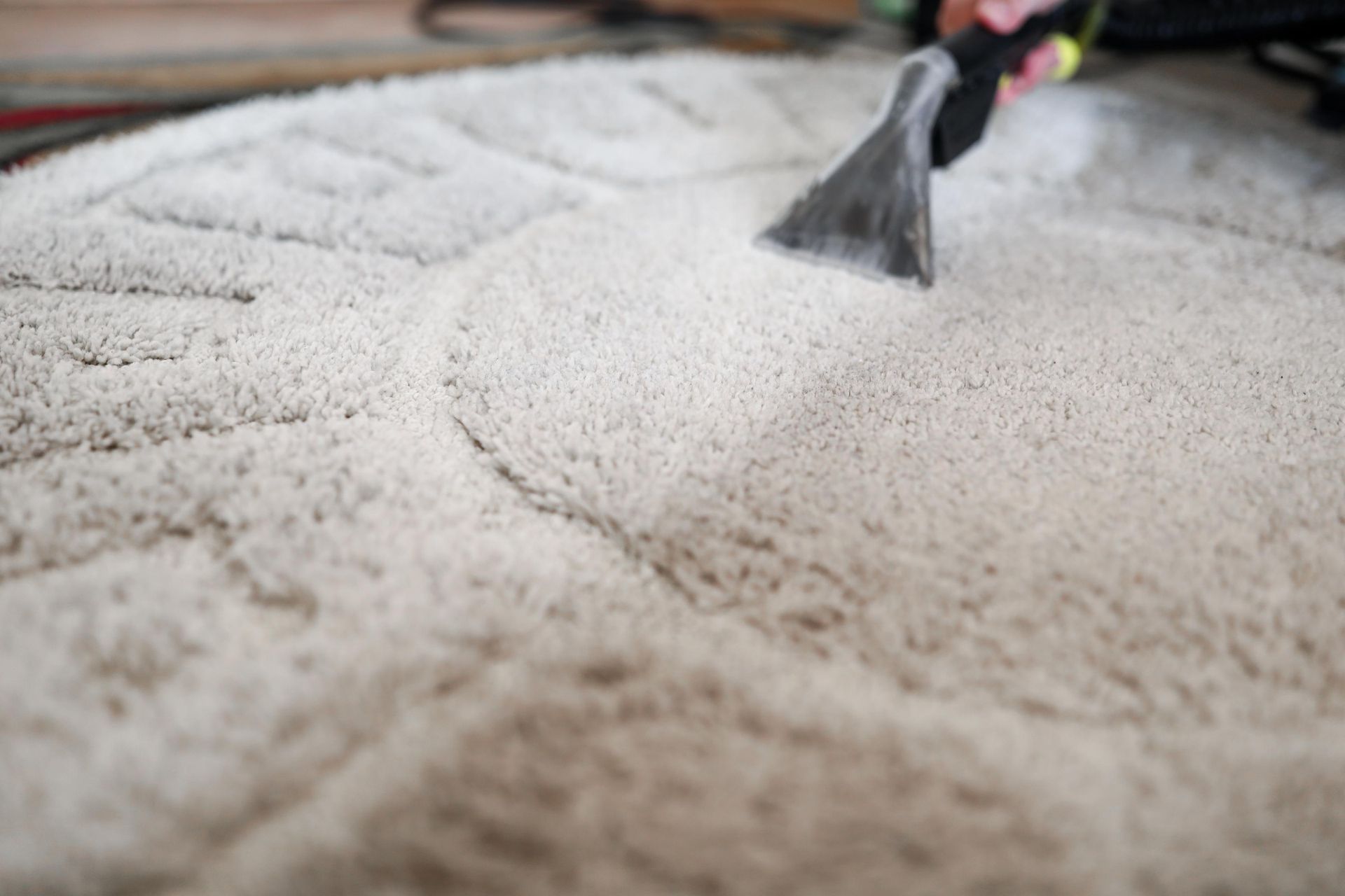 a person is cleaning a rug with a vacuum cleaner