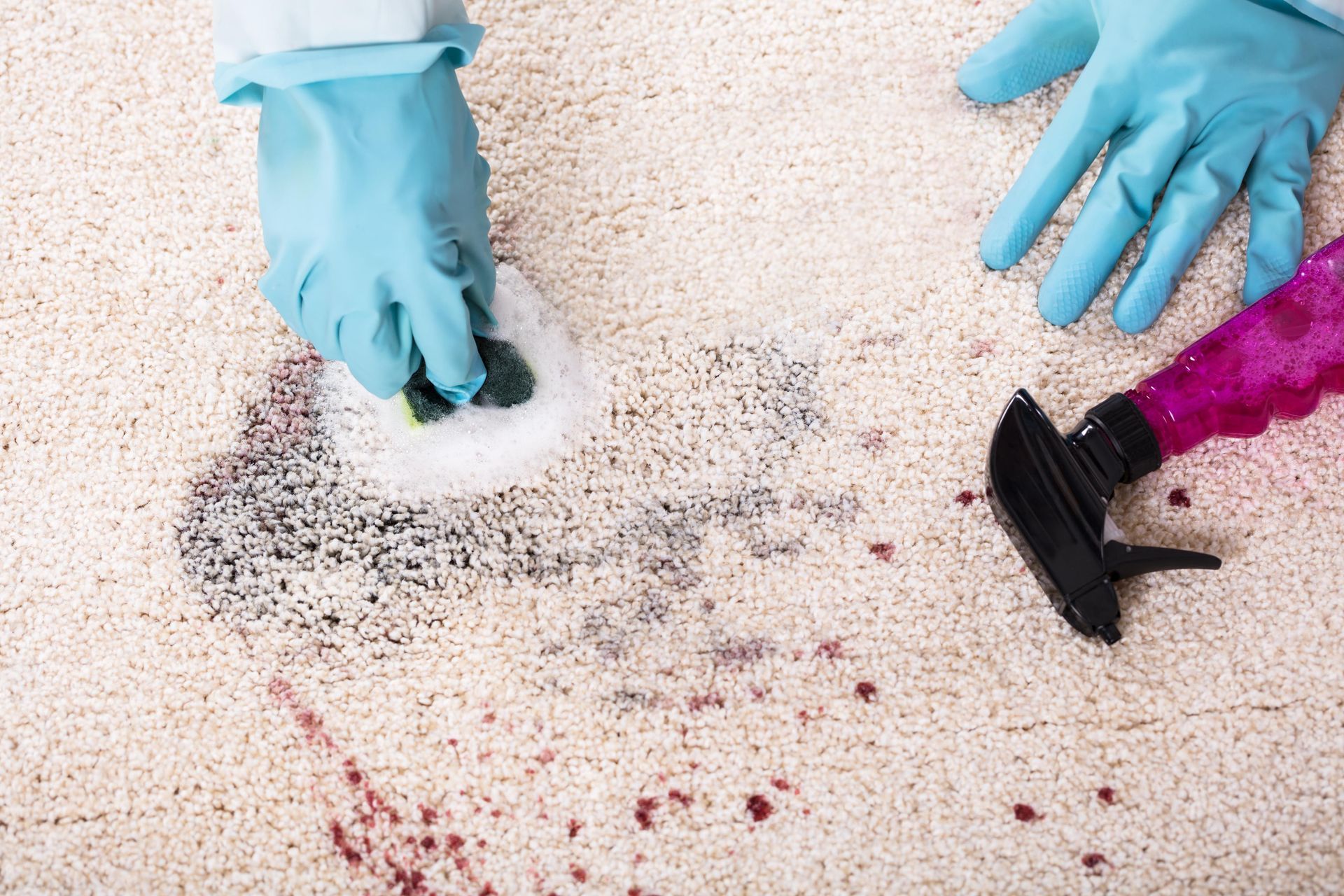 a person is cleaning a carpet with a sponge and spray bottles