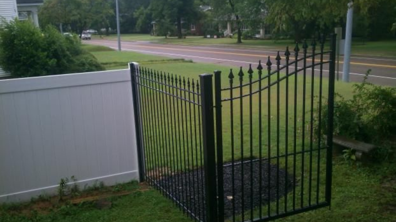 Black wrought iron fence with gate, next to a white vinyl fence on grassy lawn. Street in background.