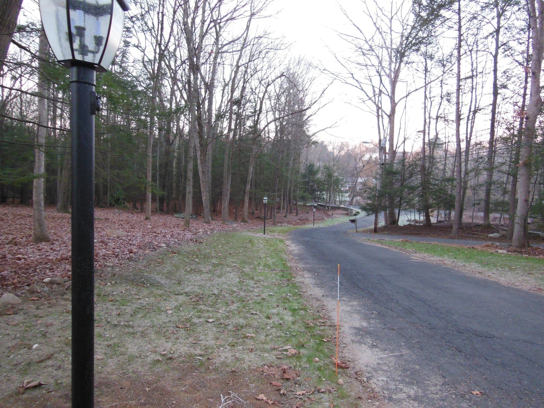 Black lamp post next to a paved road curving into a wooded area, late afternoon light.