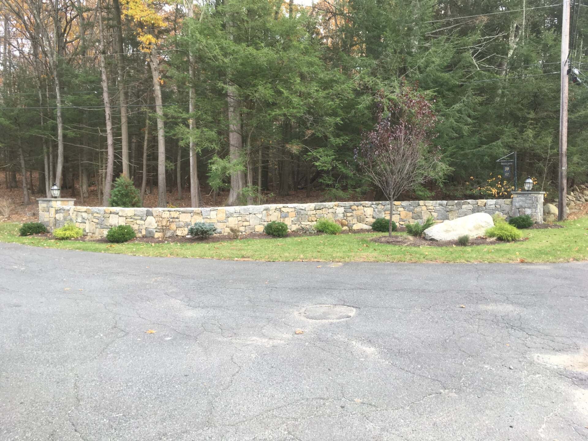 Stone wall with shrubs and small trees in front of a wooded area. Asphalt road in the foreground.