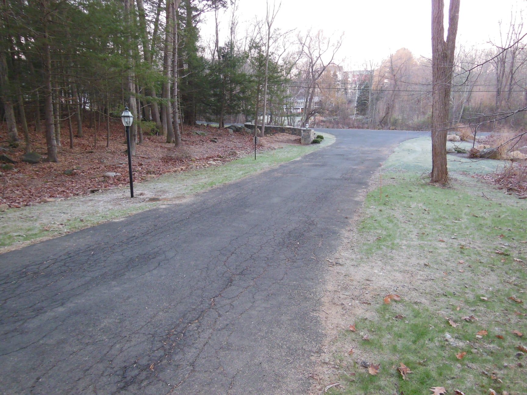 Paved driveway leading toward a house. Trees line the sides. Green grass with frost.