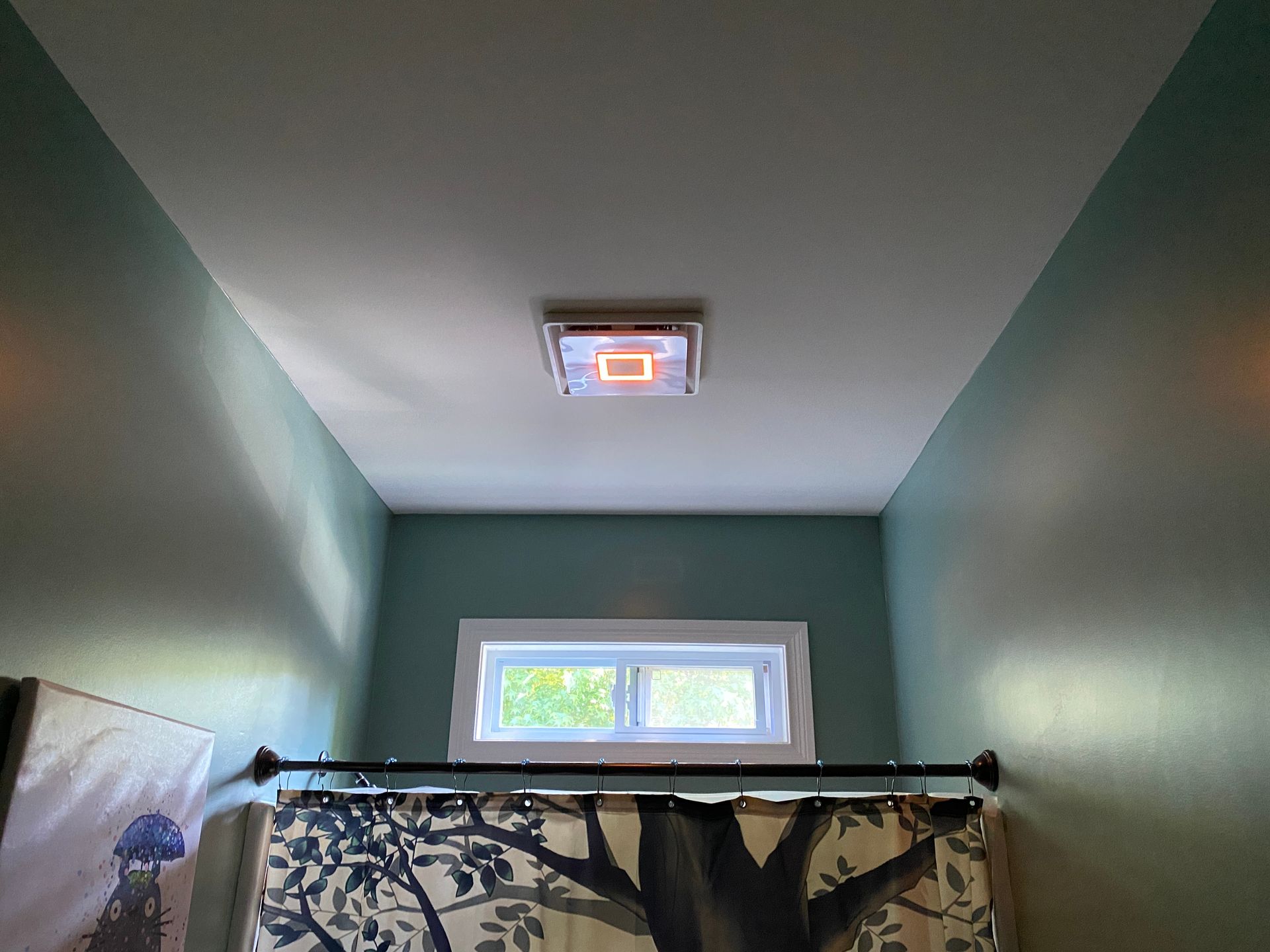 Bathroom ceiling with a square light fixture, window, and teal walls. Shower curtain with tree design.