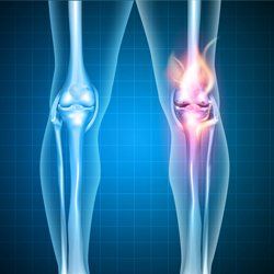 Fisiologia delle articolazioni