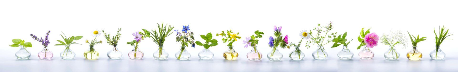 eine Reihe von kleinen Glasvasen mit Kräutern und Blumen