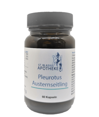 Pleurotus – Austernseitling