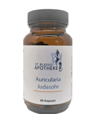 Auricularia – Das Judasohr