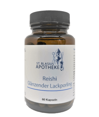 Reishi – Glänzender Lackporling