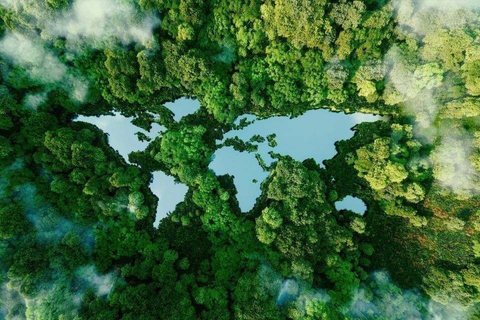 Rappresentazione dei continenti del pianeta terra tramite alberi e acqua di un lago