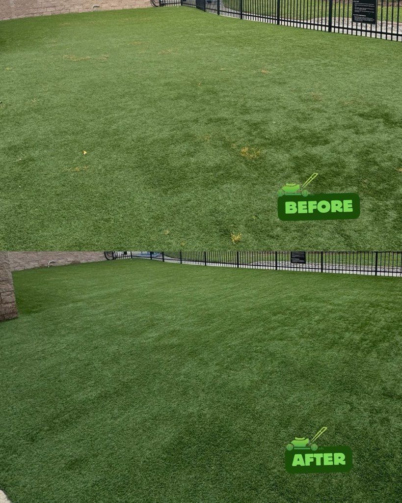 A before and after picture of a lawn with a fence in the background.