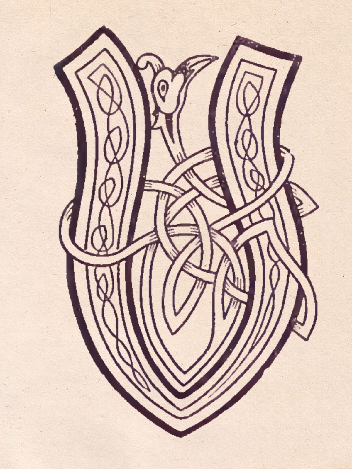 letter v gaelic plant symbol