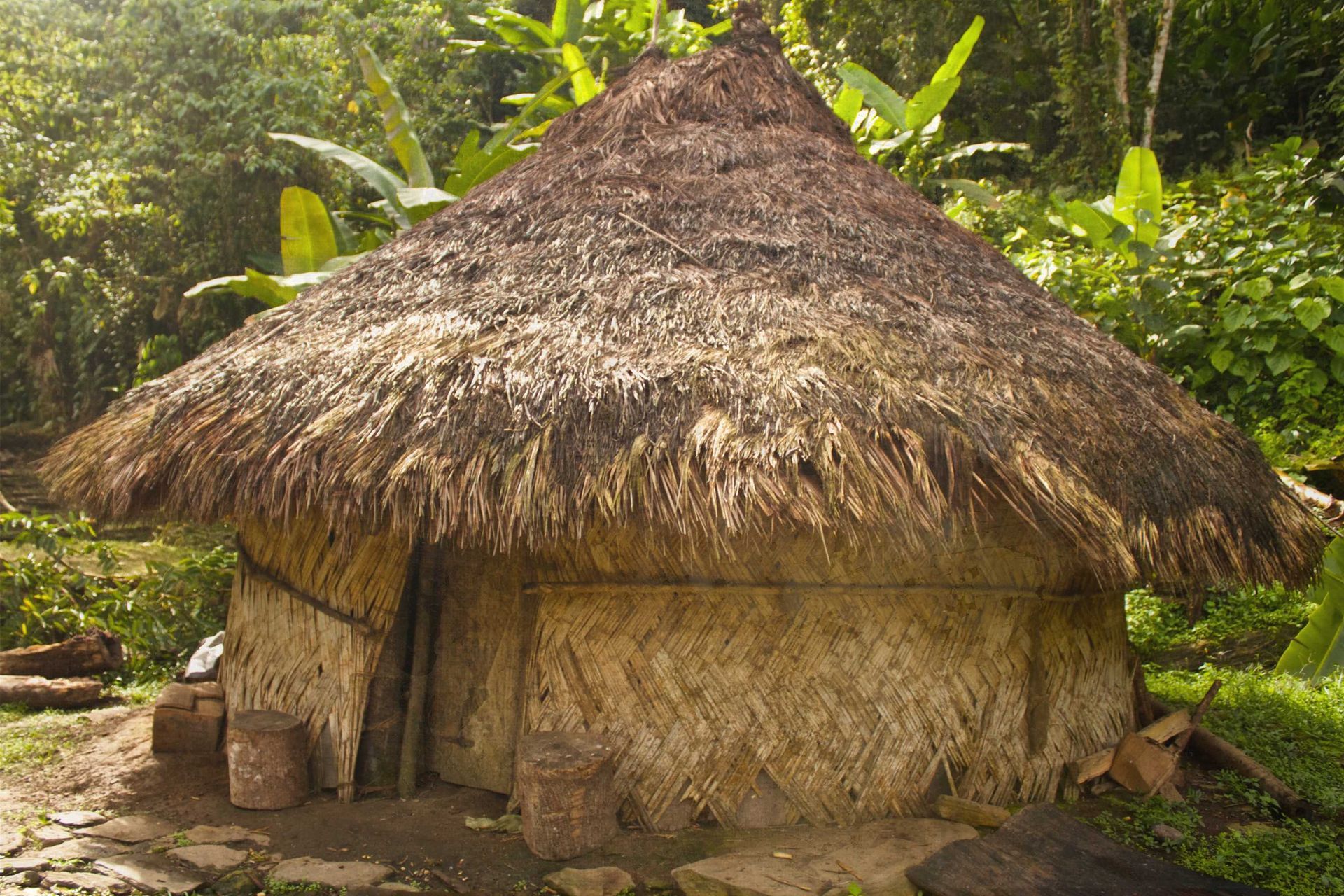 straw wood hut, jungle