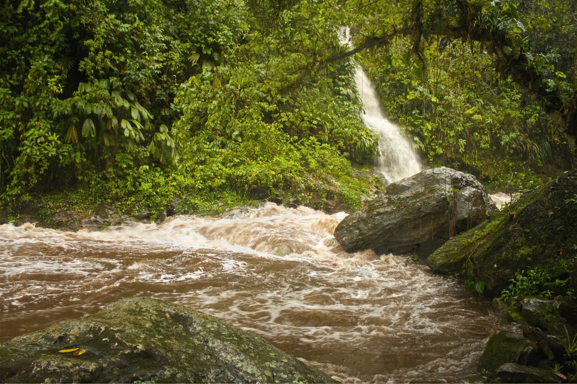 waterfall jungle