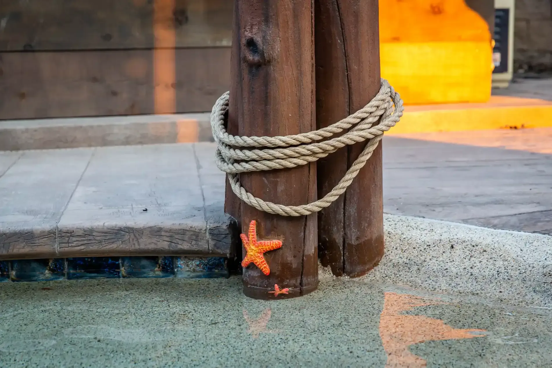 Wooden post wrapped with rope beside a small orange starfish on a wet dock surface