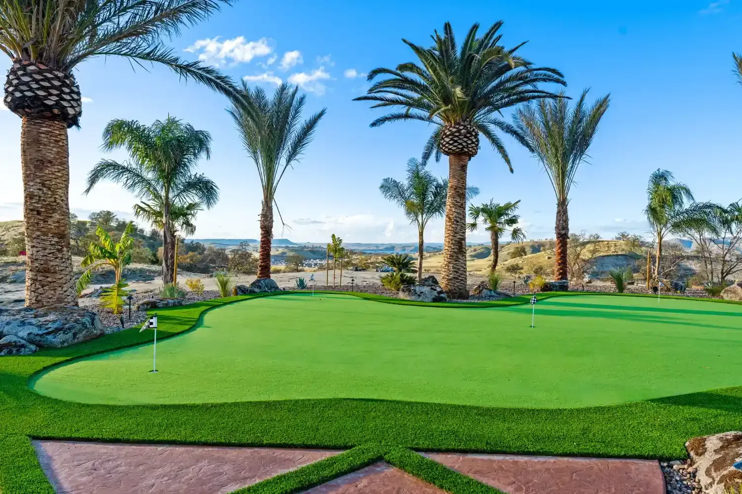 Palm-lined golf putting green with lush grass and ocean view under a bright blue sky