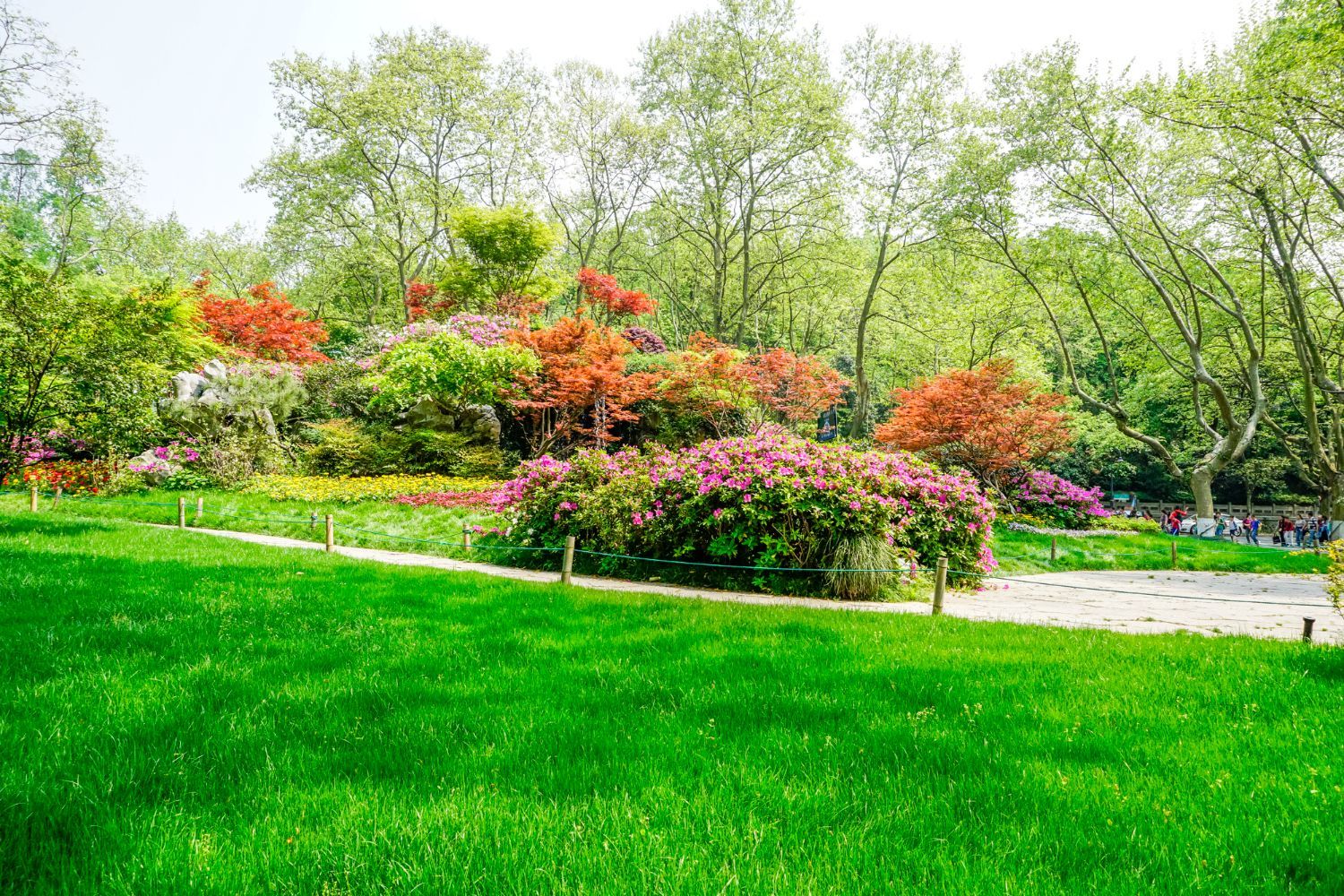 A lush green park filled with trees and flowers on a sunny day.
