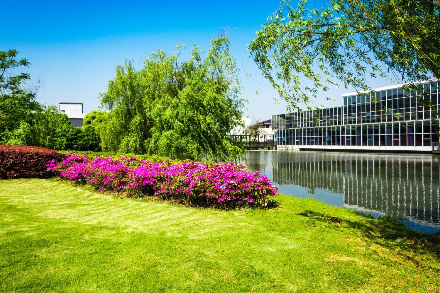 A park with a lake , flowers , trees and a building in the background.