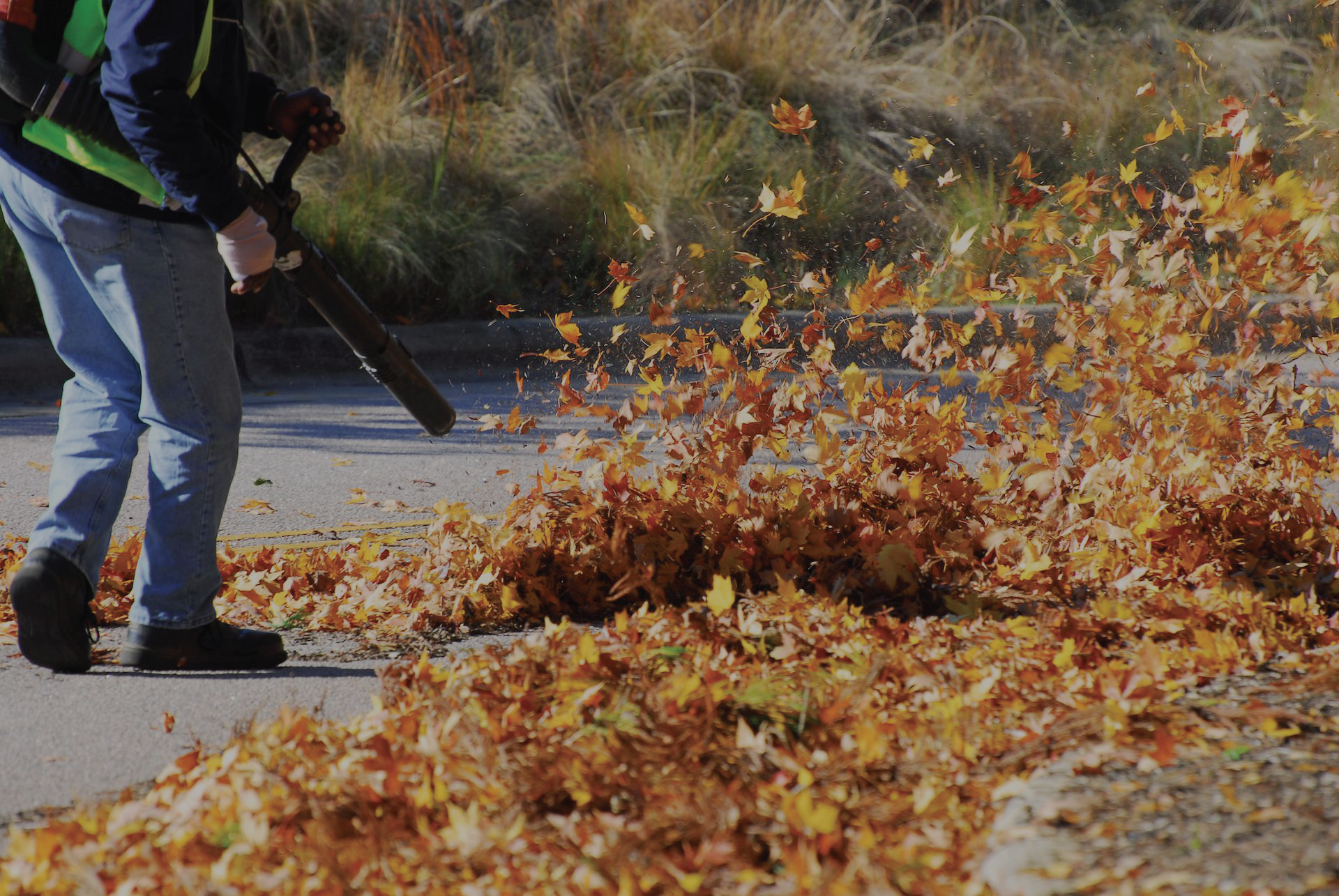 Person in a green vest using a leaf blower to push a pile of autumn leaves on a paved surface.