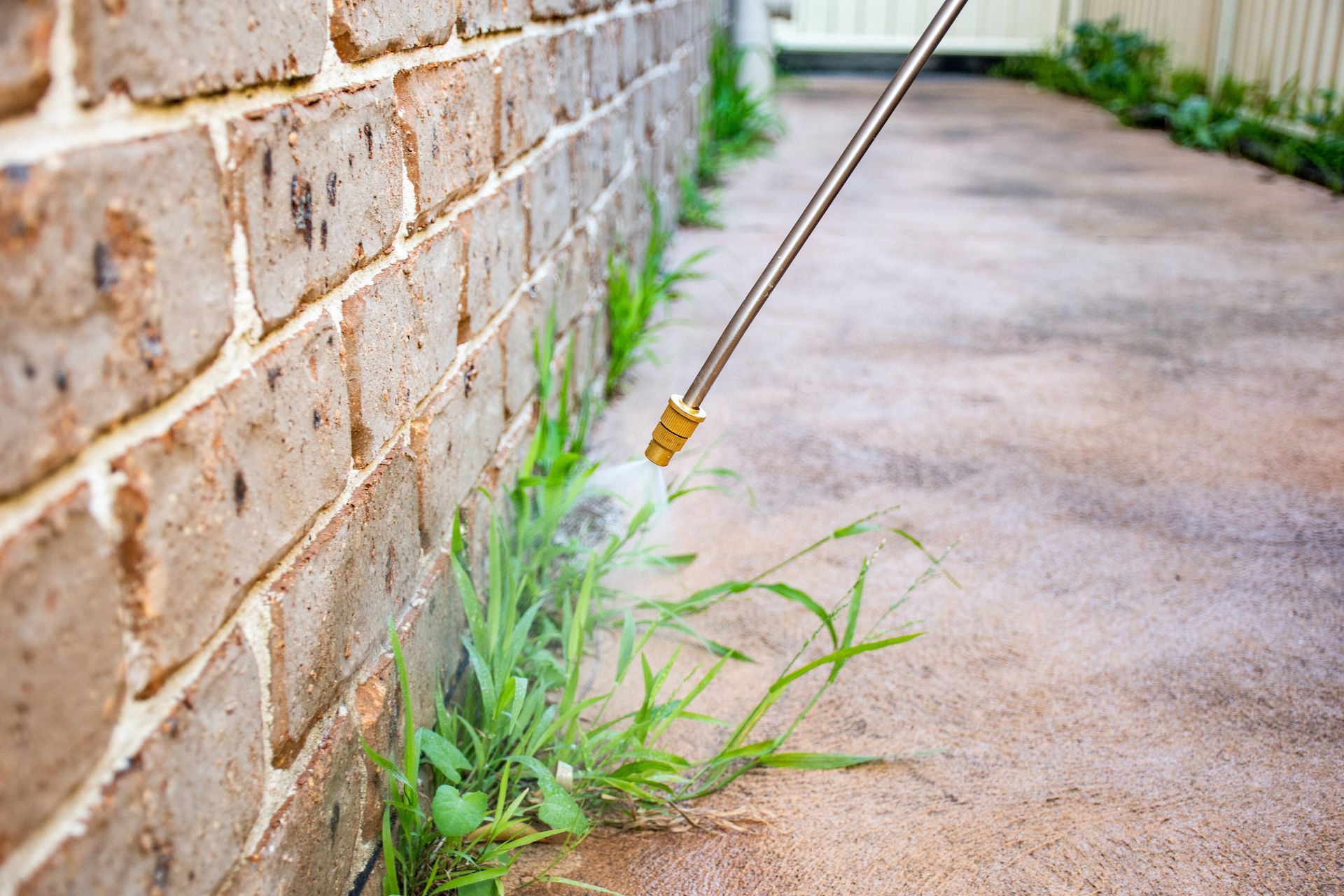 A person spraying weeds with a high-pressure nozzle next to a brick wall and driveway.