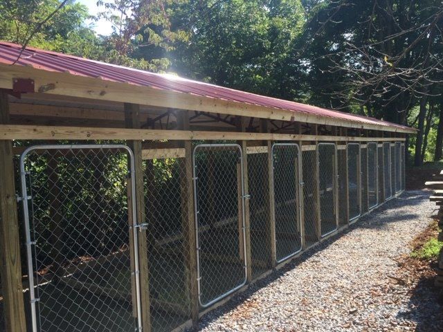 Open-style with Chain Link Fences ─ Canton, North Carolina ─ Shane Willis Construction