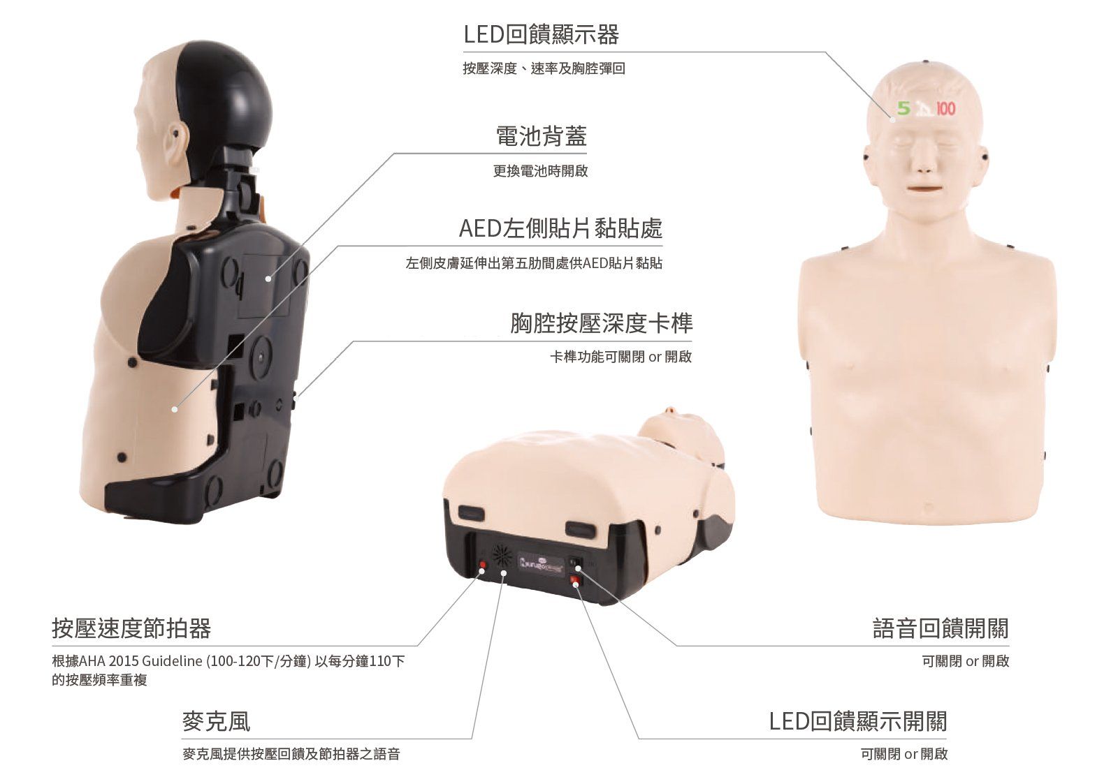 成人CPR訓練人型 專業型 L300