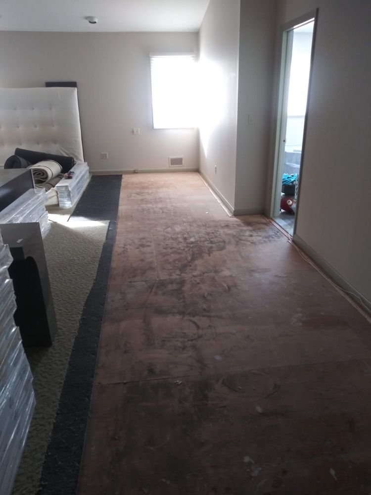 A room with a carpeted floor and a window