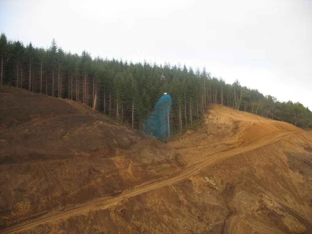 A dirt hillside with a dirt path, bordering a forest edge where a section of trees is covered in bright blue netting.