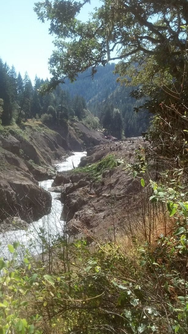 A river flows through a rocky canyon surrounded by dense forest under a clear, bright sky.