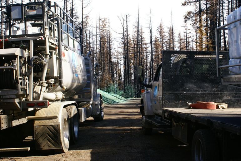 Two utility trucks parked on a dirt path in a forest of charred trees following a wildfire.