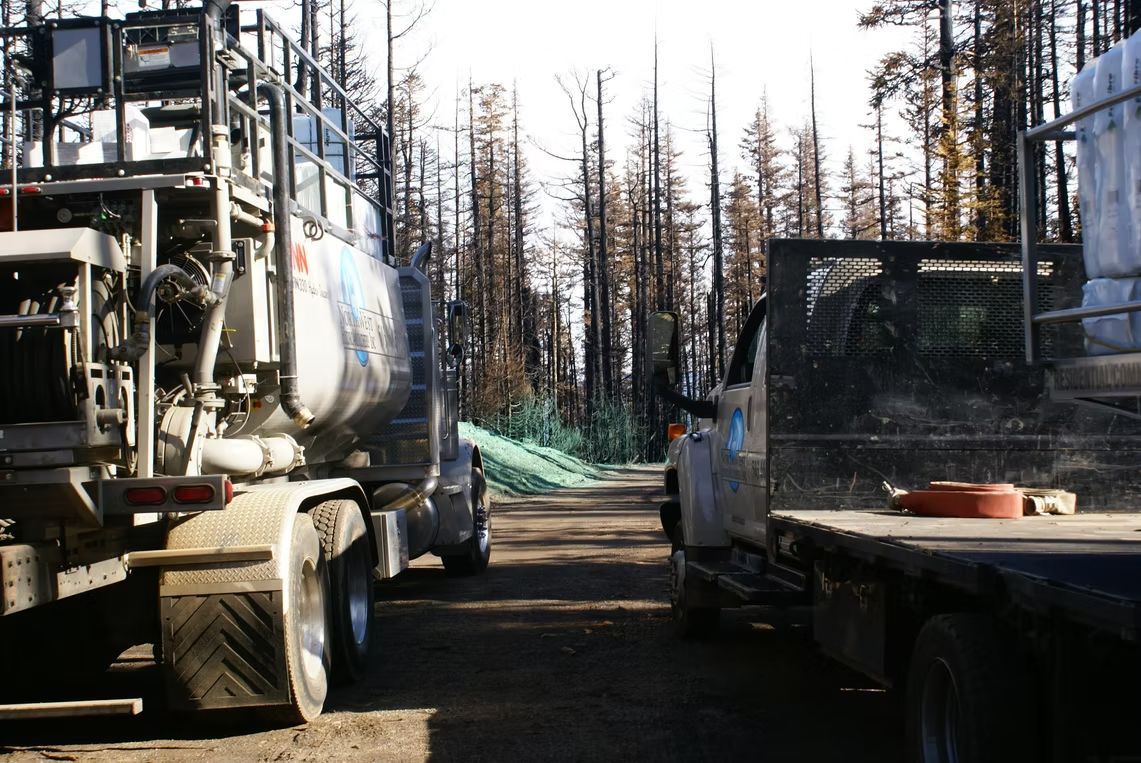 Two large trucks parked on a dirt path in a forest of charred trees following a wildfire.
