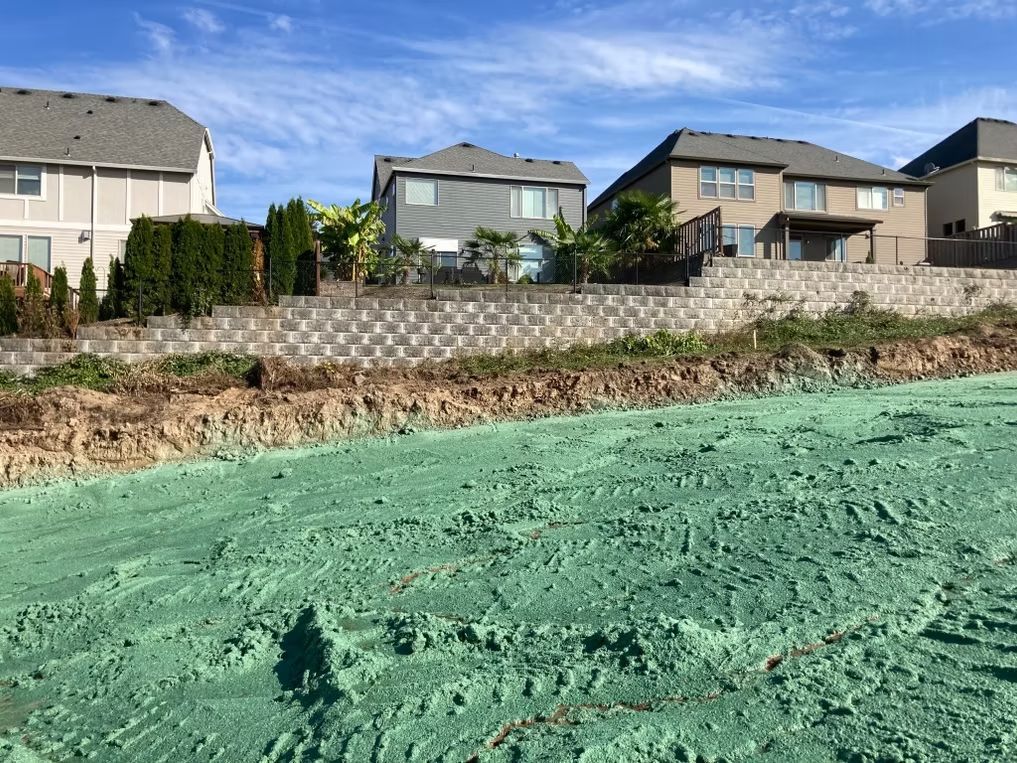 Houses sit above a stone retaining wall behind a sloped area of ground covered in green hydroseed.