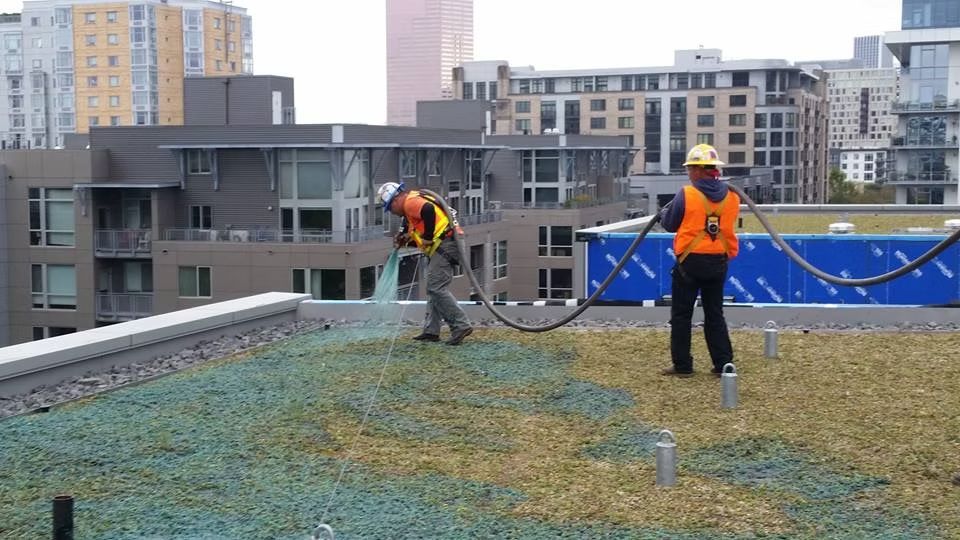 Two workers in safety gear spray a blue-tinted material onto a rooftop garden in an urban setting.