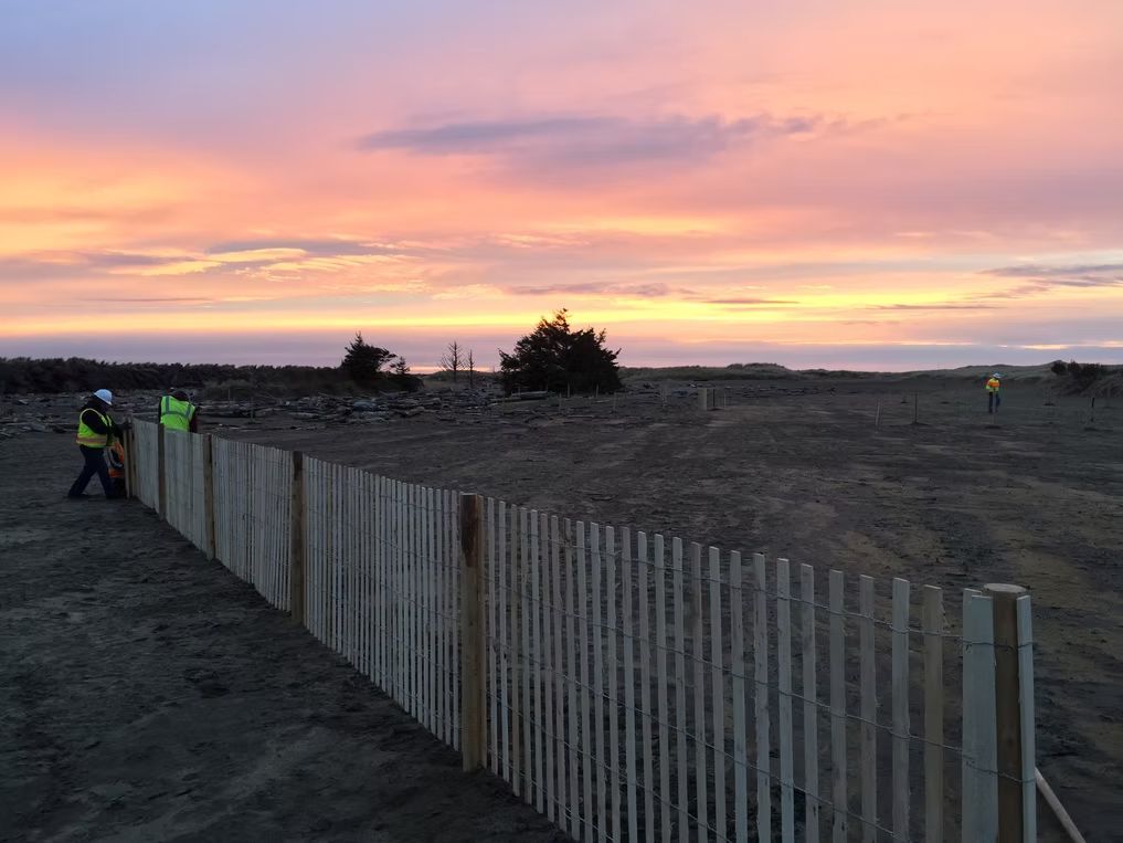 Workers in high-visibility vests install a wooden slat fence on a sandy beach at sunset.