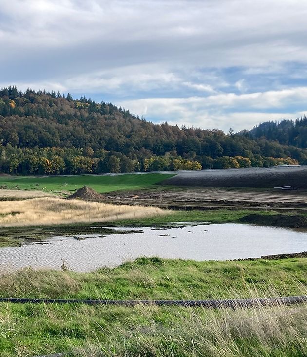 A scenic landscape featuring a pond, grassy fields, and a forested hillside under a cloudy sky.