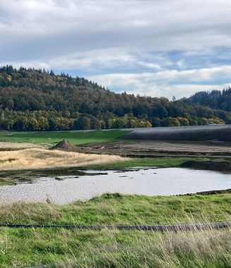 A scenic landscape featuring a pond, grassy fields, and a forested hillside under a cloudy sky.