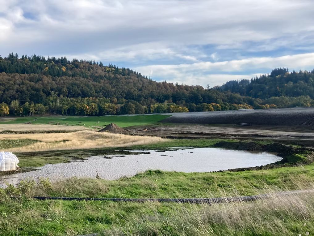 A small pond sits in a green field before a forested hillside under a cloudy sky.