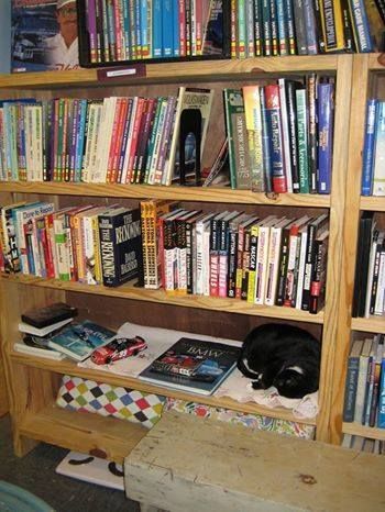 A black cat sleeps on a shelf of a wooden bookcase filled with books and a model car.