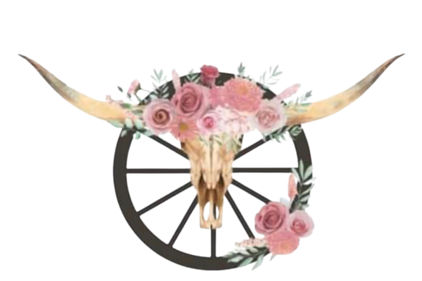 House Cleaning, Commercial Cleaning Services, Lethbridge, AB