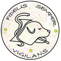 Farmacia Dott. Turchi Paolo - LOGO Farmacia Dott. Turchi Paolo - LOGO