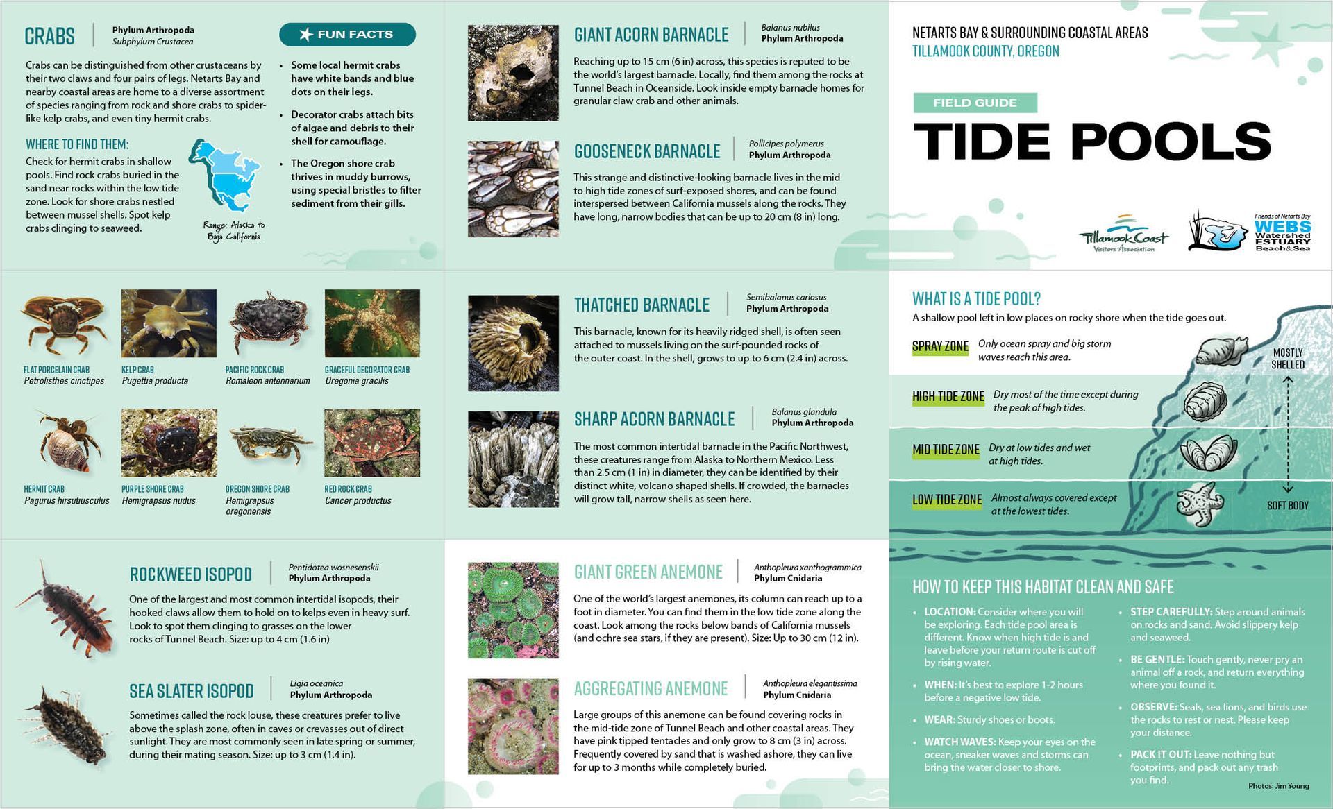 Tide Pool Guide Helpful Resources