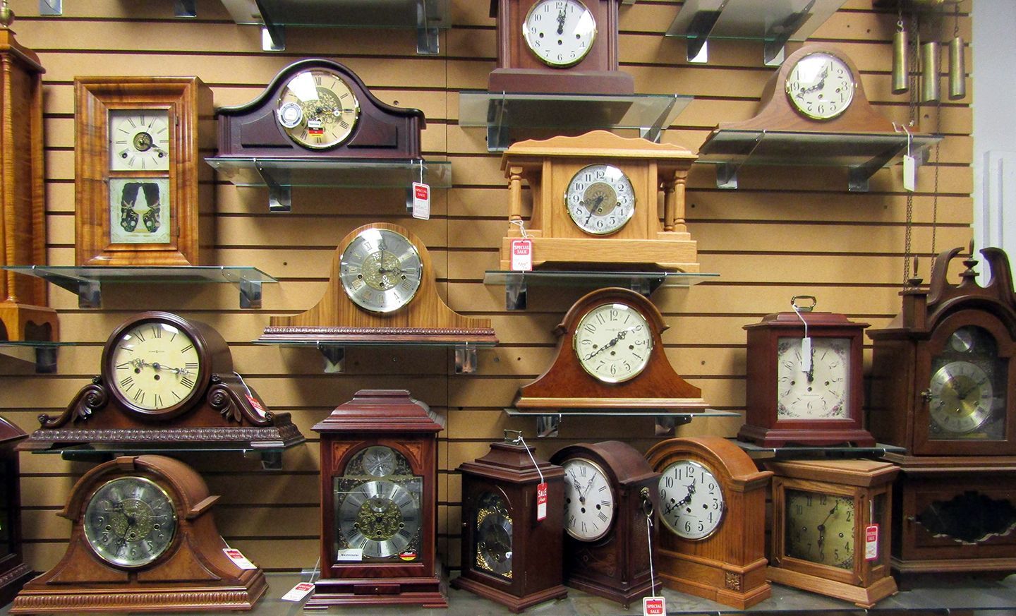 Many Clocks Are Lined up On Shelves Against a Wall.