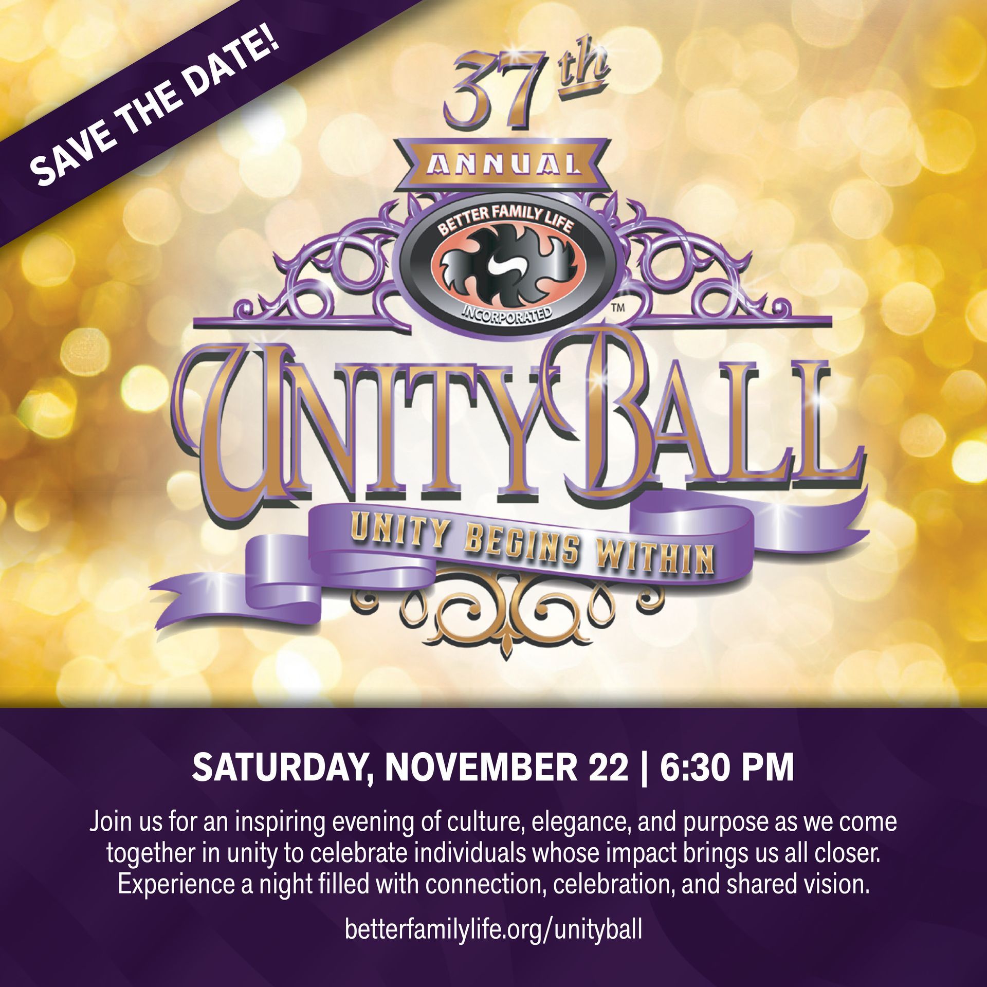 Unity Ball Poster | Saint Louis, MO | Better Family Life Inc