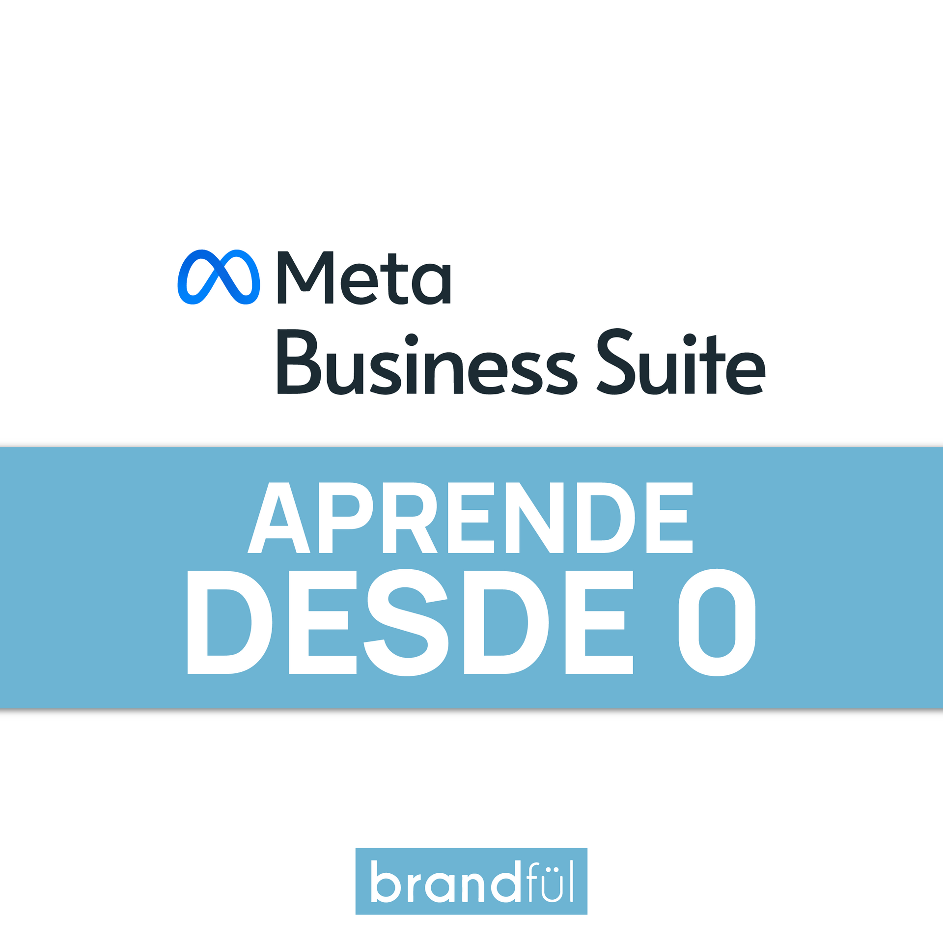 Aprende a usar Meta Business Suite.