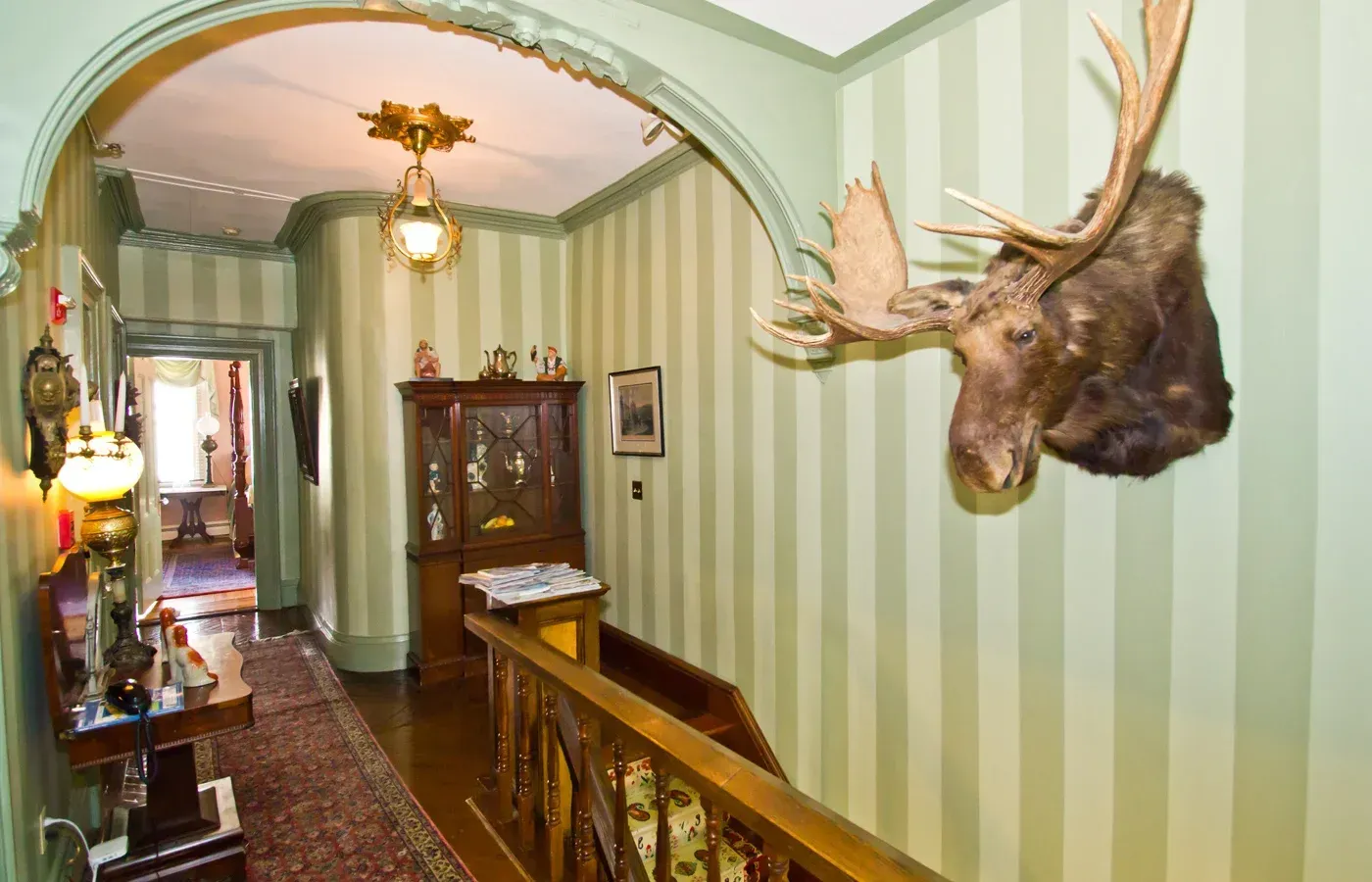 Narrow hallway with green striped walls, a mounted moose head, and antique furniture under an arched ceiling